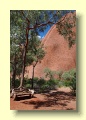 PC227662_Uluru