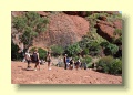 PC237858_Kata_Tjuta