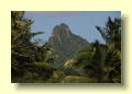 P4270575_Rarotonga