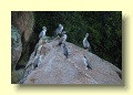 P3237464_Abel_Tasman_NP