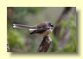 P3237586_Abel_Tasman_NP