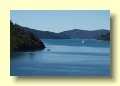 P3277949_Marlborough_Sounds