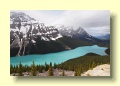 P6168408_Peyto_Lake