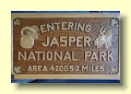 P6168522_Jasper_NP