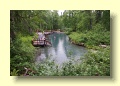 P6269778_Liard_River_Hot_Springs