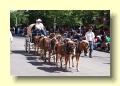 P7061170_Calgary_Stampede_Parade