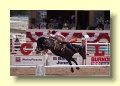 P7061223_Calgary_Stampede_Rodeo