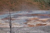 P7152559_Mammoth_Hot_Springs_Terraces