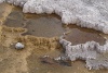 P7152577_Mammoth_Hot_Springs_Terraces