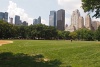 P8024470_Central_Park