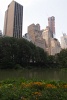 P8024511_Central_Park