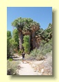 P5112395_Joshua_Tree_NP