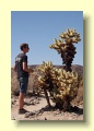 P5112446_Joshua_Tree_NP