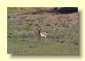 P5224682_Bryce_Canyon