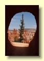 P5224769_Bryce_Canyon